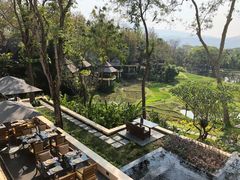 -四季酒店下午茶