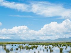 -花湖生态旅游区