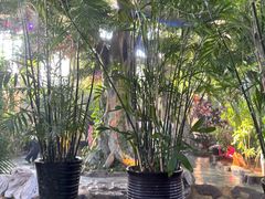 -东方华地城湿地温泉度假区