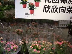 -IKEA宜家家居(南京商场)