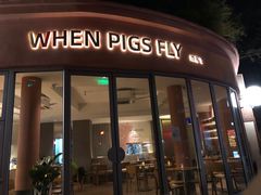 门面-WHEN PIGS FLY当猪飞
