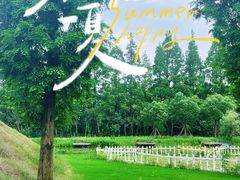 -前小桔亲子创意农场·草莓采摘·露营烧烤