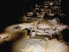 -洛阳周王城天子驾六博物馆