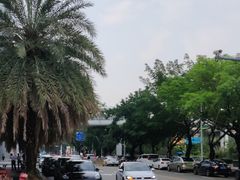 -皇庭广场(福华三路店)