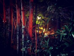 -前小桔亲子创意农场·草莓采摘·露营烧烤