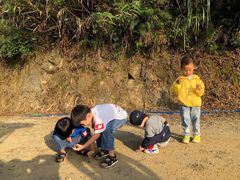 -广州市石门国家森林公园