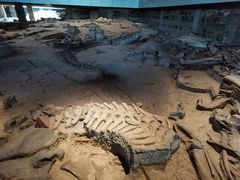 -自贡恐龙博物馆