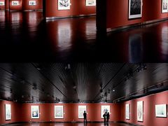 -江苏省美术馆(长江路新馆)