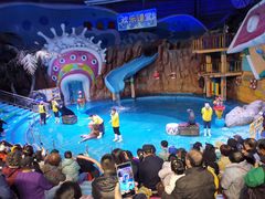 -烟台海昌鲸鲨海洋公园