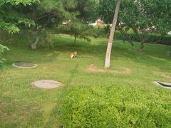 -防灾科技学院(南校区)