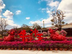 -盈香心动乐园