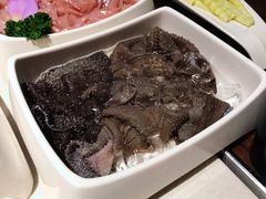 捞派毛肚-海底捞火锅(万丰桥店)