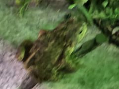 -王府井奥莱棋盘山小镇
