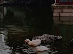 -祝家花園(伯渎港店)