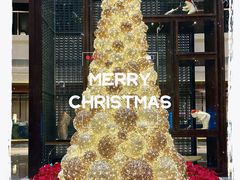 -舟山希尔顿酒店