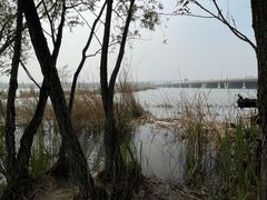 -绿堤公园