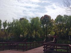 -新江湾城公园