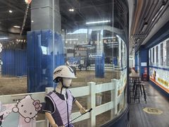 -骑乐马术(广州奥体优托邦中心)