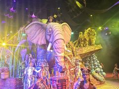 -香港皇家太平洋酒店