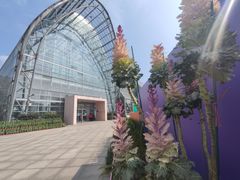 -南山植物园