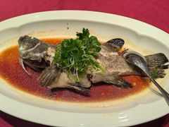 -顺峰(农展馆店)