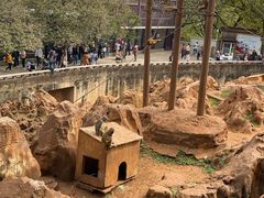 -昆明动物园