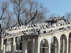 -北京世界公园