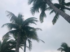 -万绿园