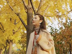 -三里屯东五街银杏大道