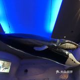 鸟羽水族馆