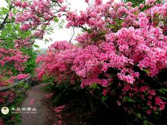 -木兰云雾山