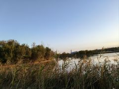 -盐城丹顶鹤湿地生态旅游区