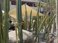 -MOJ coffee(瓯海泽雅水碓坑店)