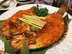 -紫滇源云南生态菜(丹凤街店)