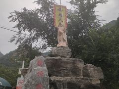 -大岭沟猕猴桃谷风景区