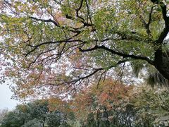 -苏州河梦清园环保主题公园