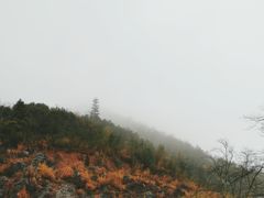 -千岛湖石林