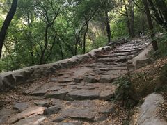 -阳台山自然风景区