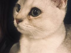 -味千拉面(红旗街万达店)