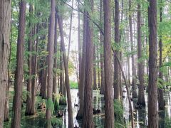 -东湖落雁景区
