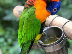 景点-南宫五洲植物乐园