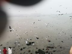景点-栈桥景区
