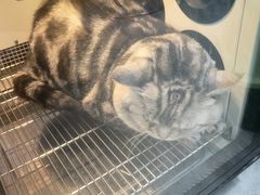 -中农国际动物医院24小时·猫科·骨科·急重症中心