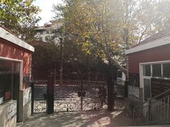 -青岛大学路小学