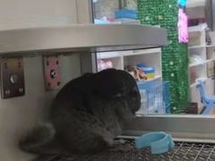 -鹏欣水游城