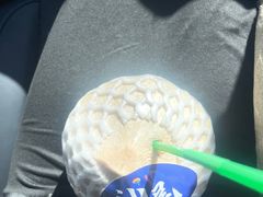 -汕尾风车岛