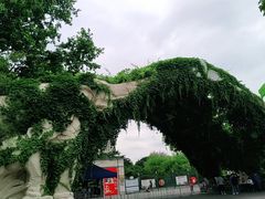 -上海动物园(地铁站)