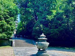 -灵谷景区