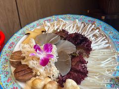 -南门四季铜锅涮肉(大屯·北苑店)