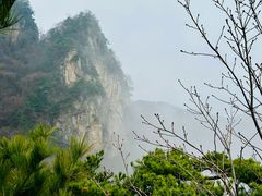 -王顺山国家森林公园